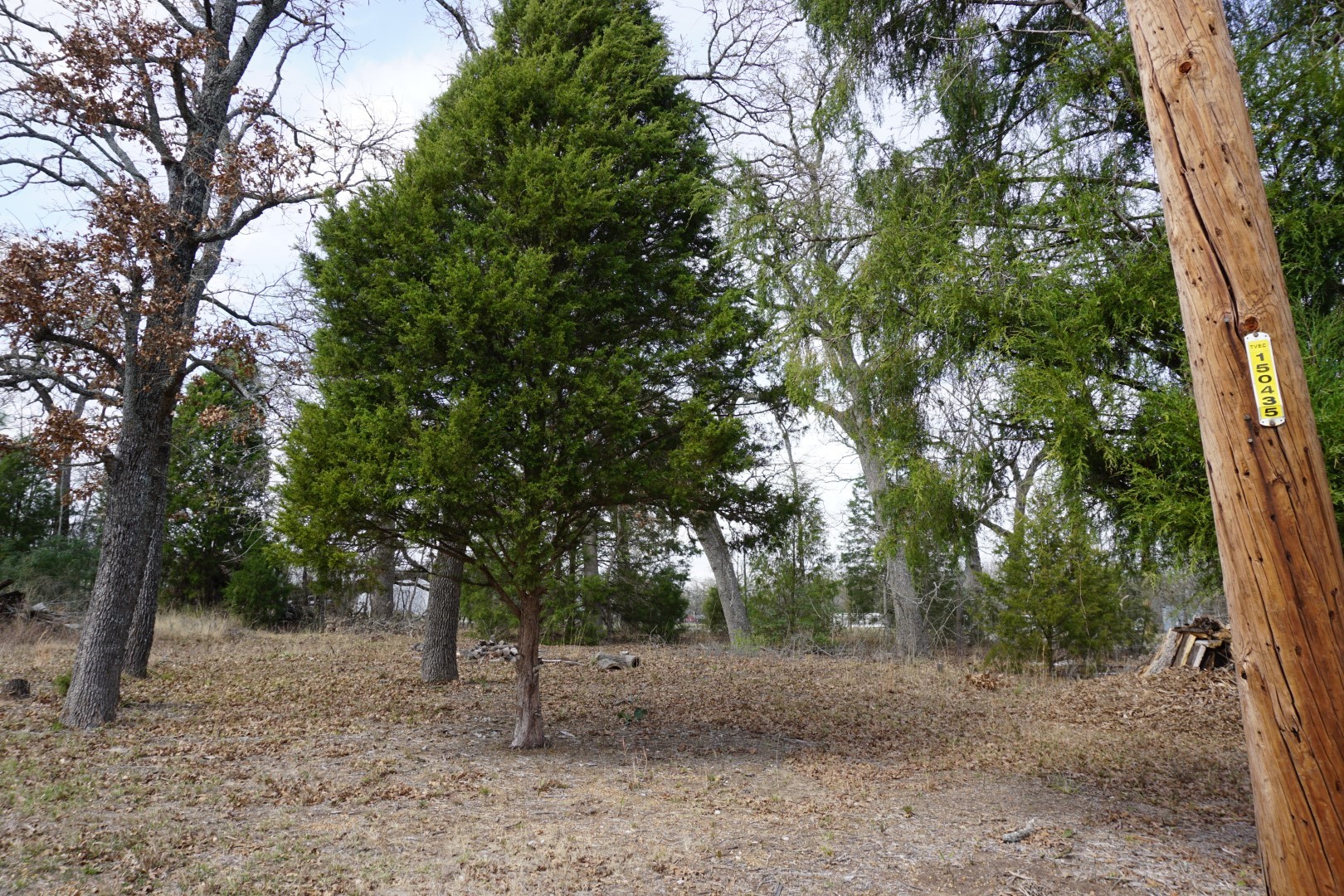 1698 Doc Holiday Drive Log Cabin TX 75148