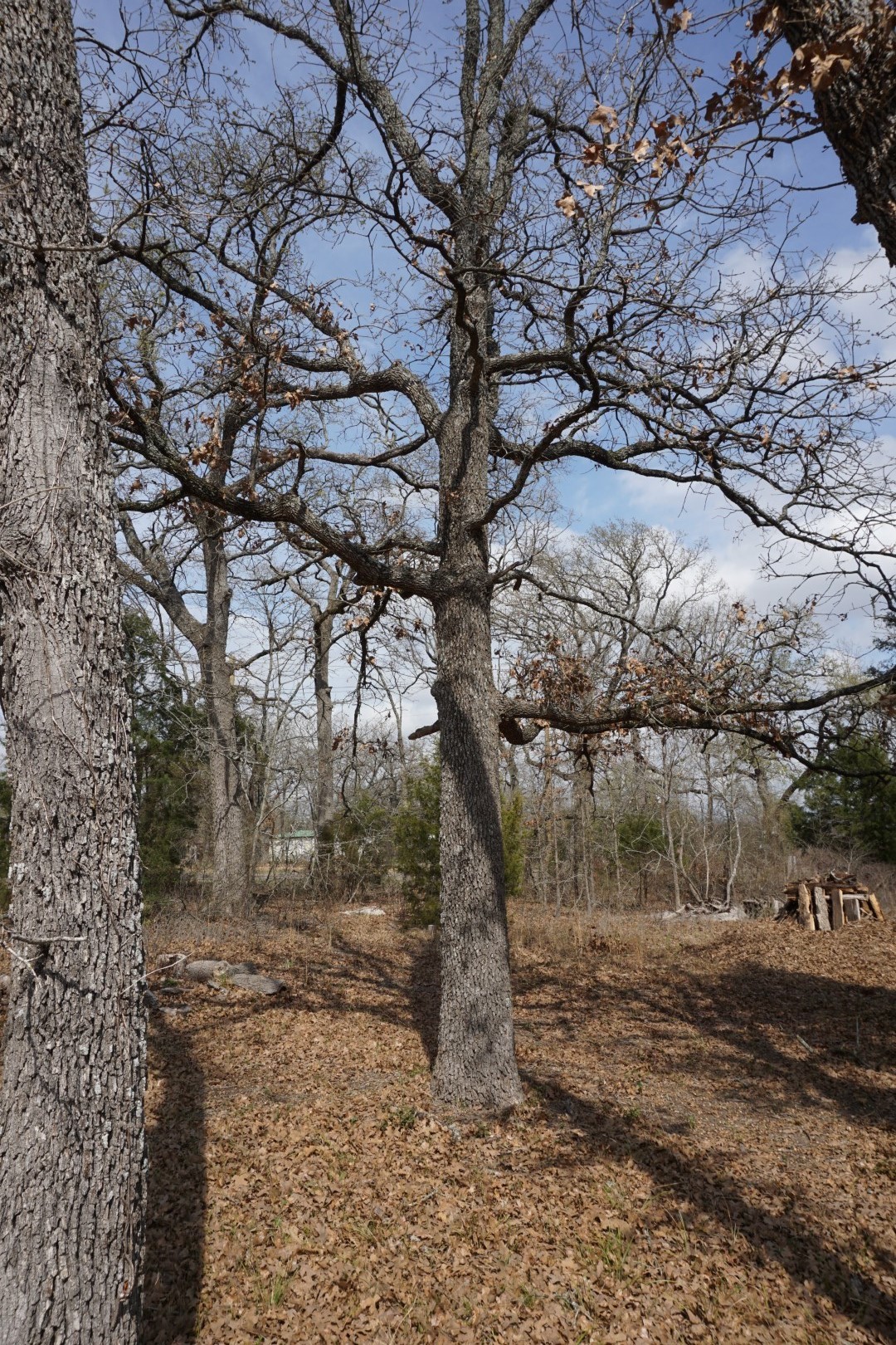1698 Doc Holiday Drive Log Cabin TX 75148