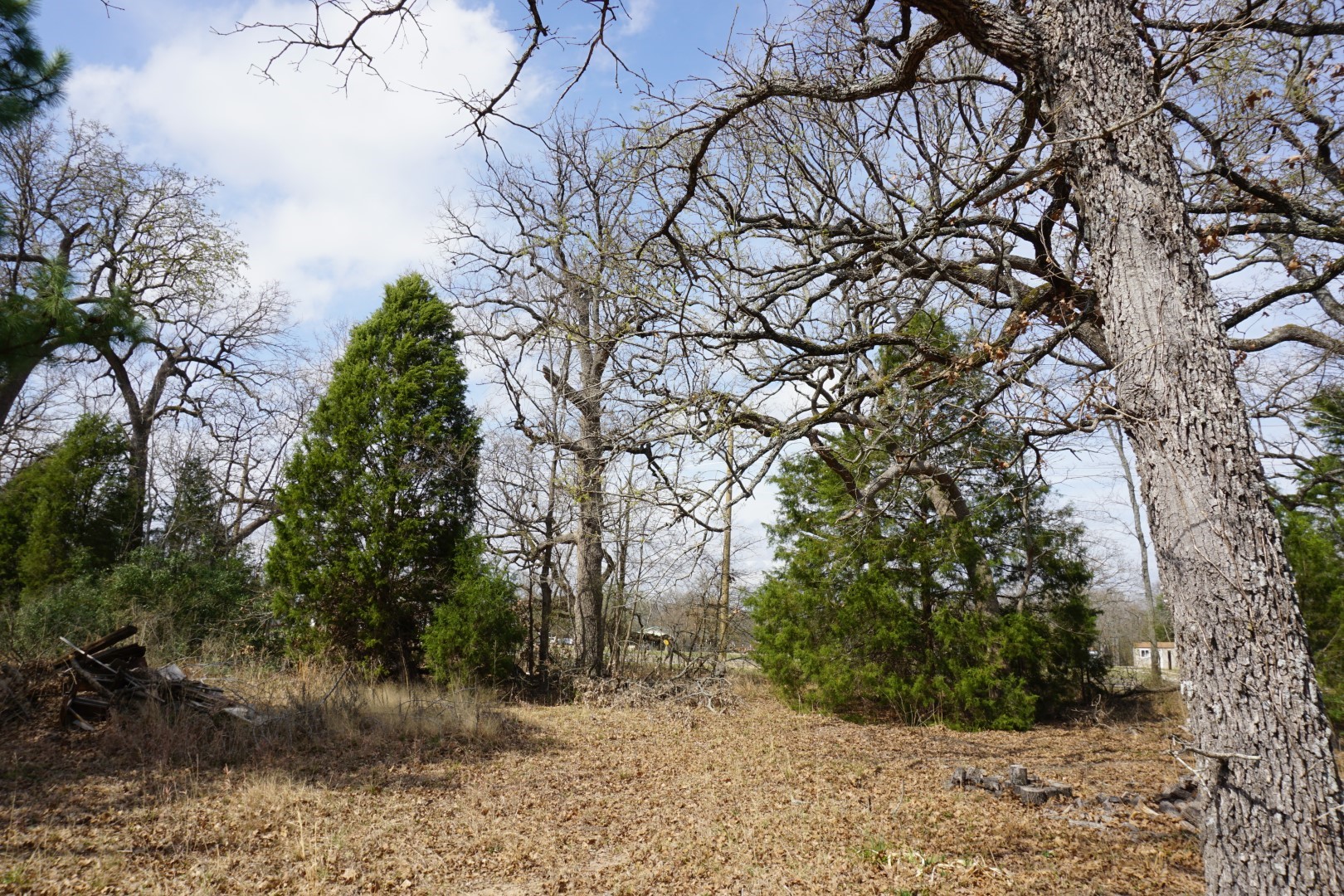 1698 Doc Holiday Drive Log Cabin TX 75148