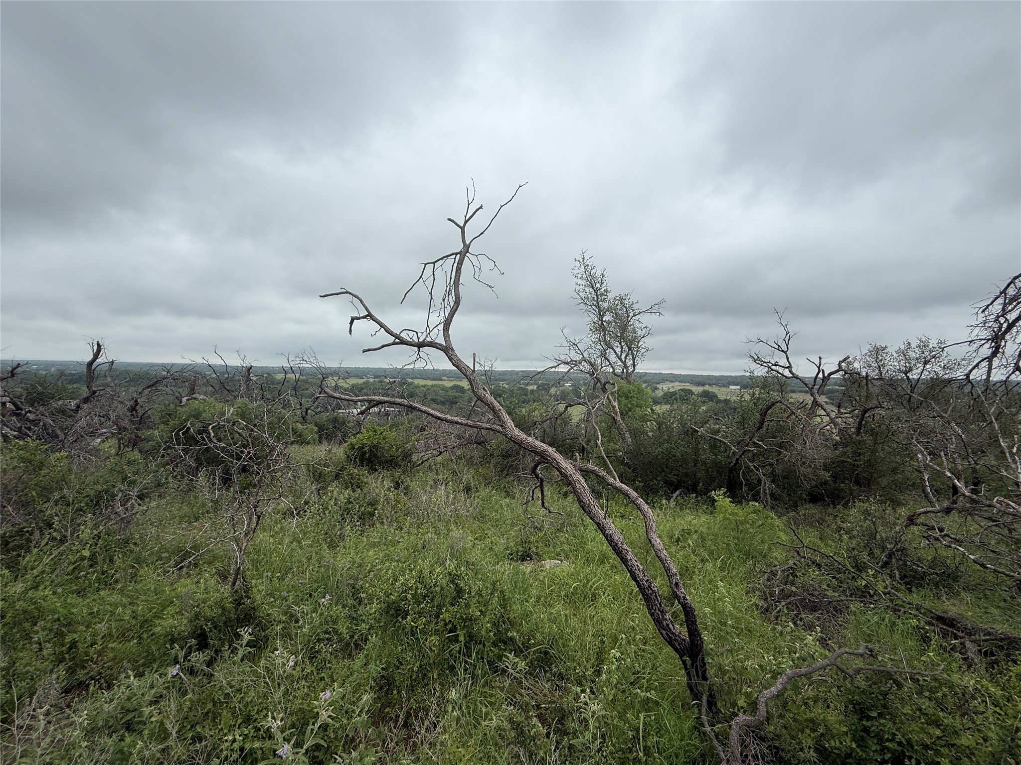 TBD779 Feather Bay Drive Brownwood TX 76801