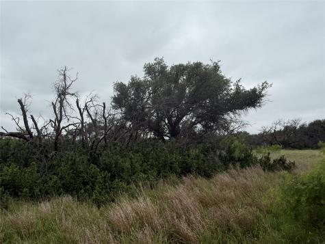 TBD779 Feather Bay Drive Brownwood TX 76801