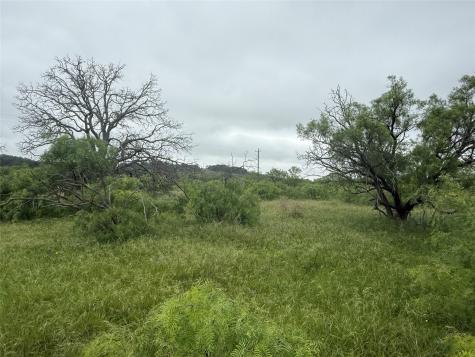 TBD779 Feather Bay Drive Brownwood TX 76801