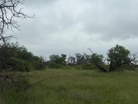 TBD779 Feather Bay Drive Brownwood TX 76801