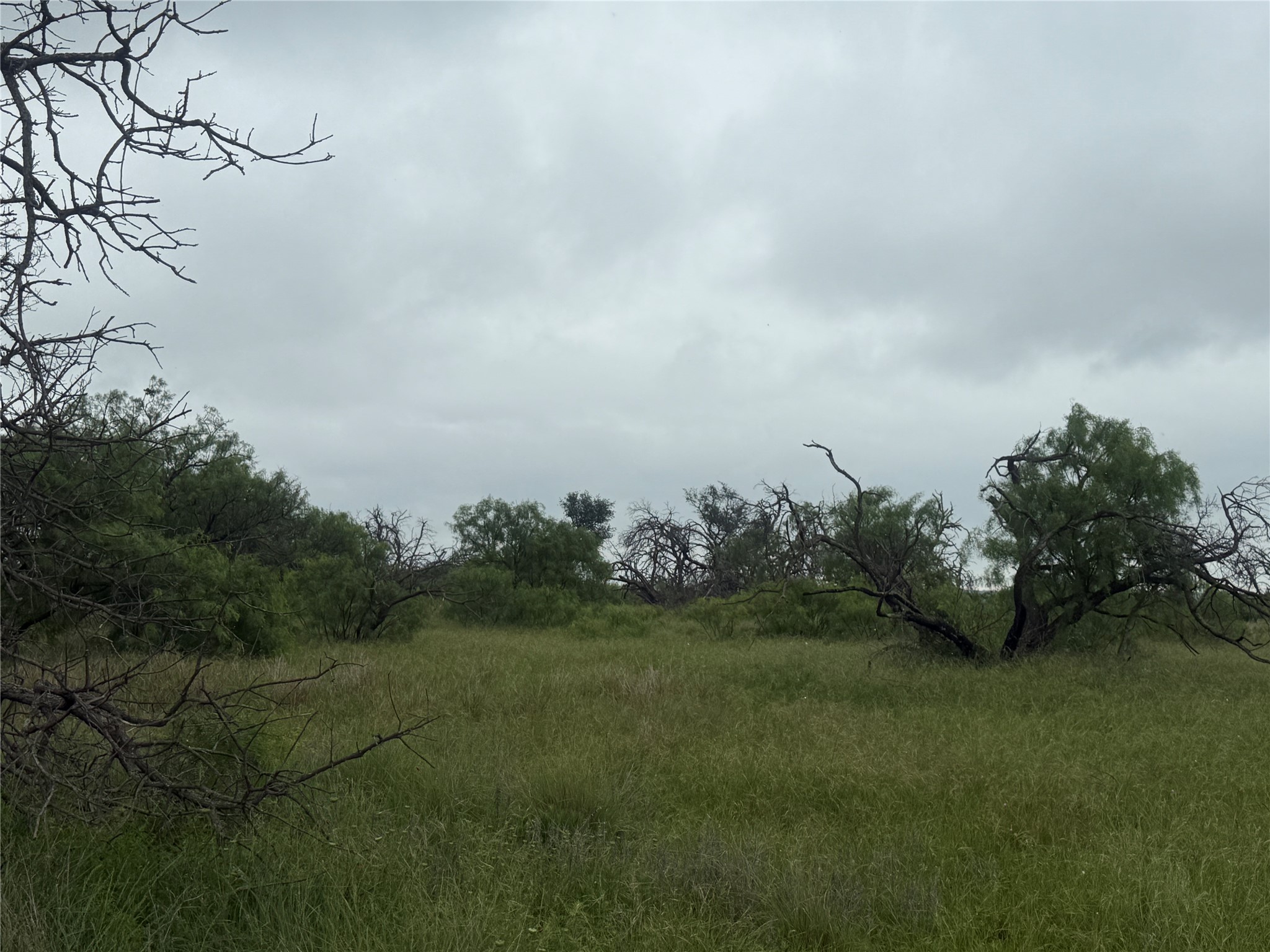 TBD779 Feather Bay Drive Brownwood TX 76801