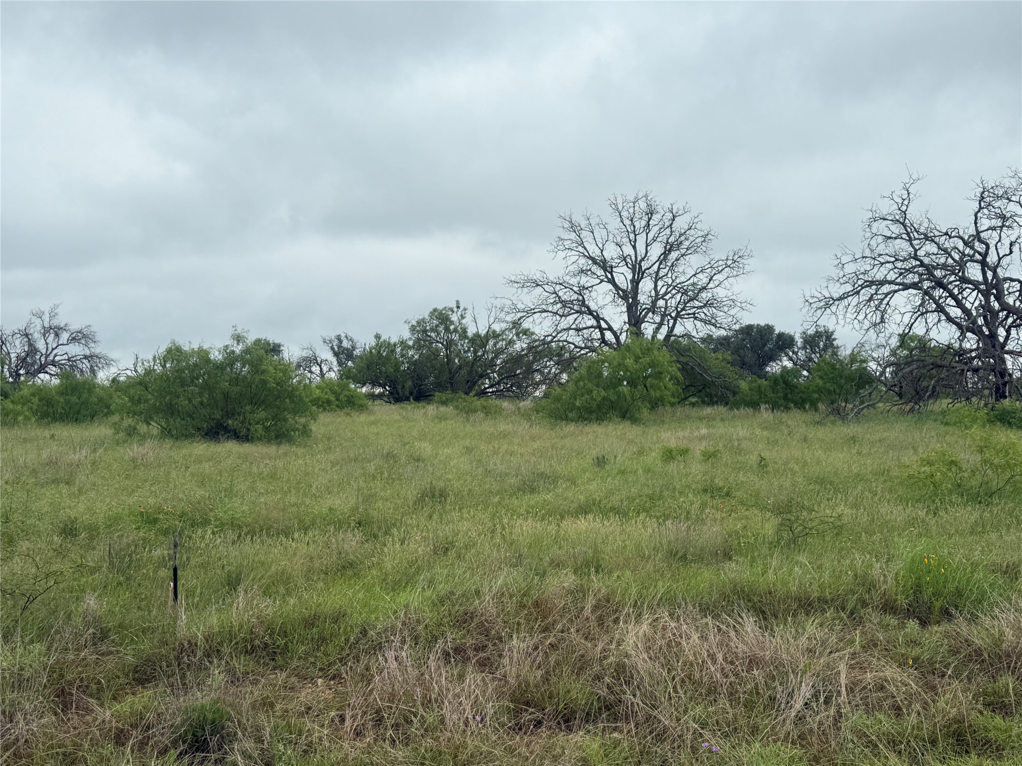 TBD779 Feather Bay Drive Brownwood TX 76801