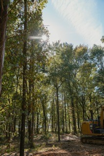 Lot 15 Private Road 5948 Yantis TX 75497