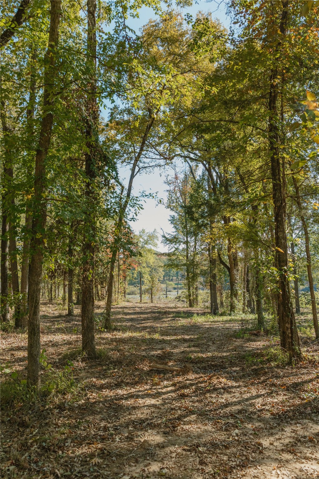 Lot 15 Private Road 5948 Yantis TX 75497