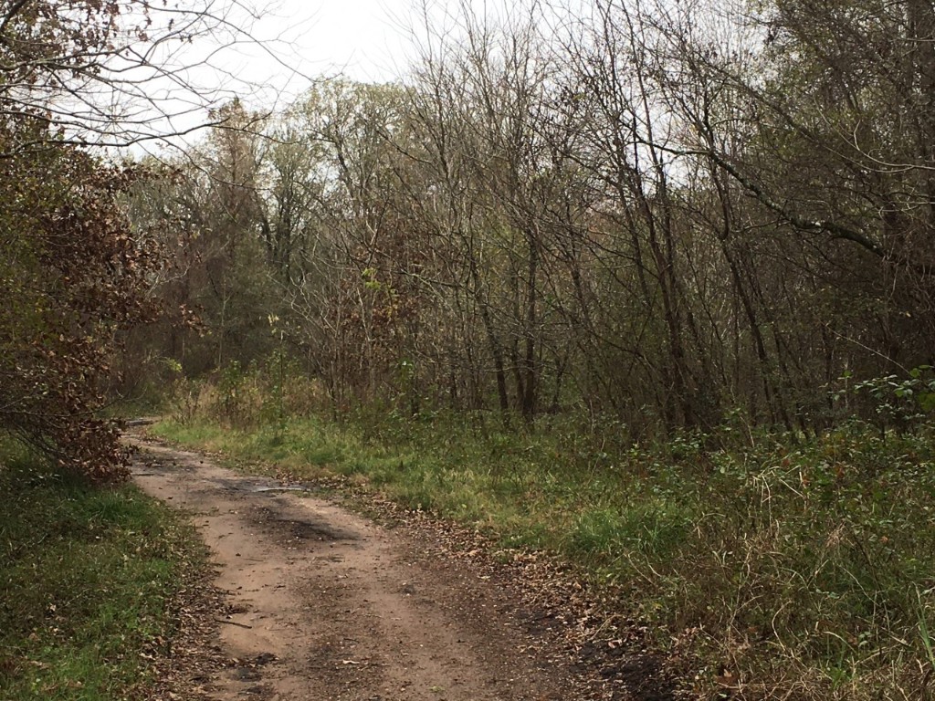 Tbd Big Creek Shepherd TX 77371