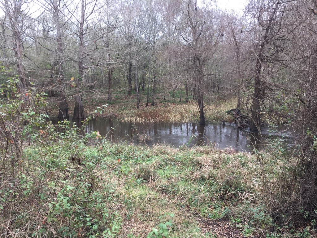 Tbd Big Creek Shepherd TX 77371