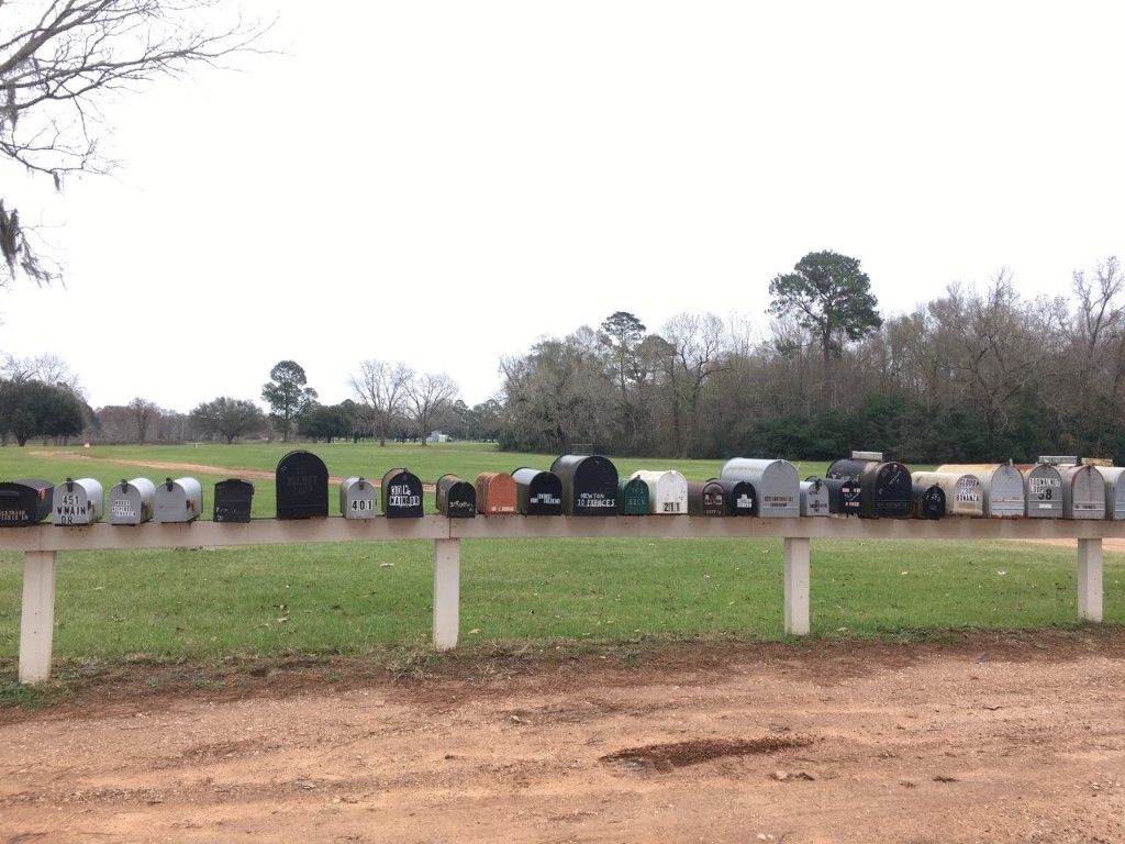 Tbd Big Creek Shepherd TX 77371