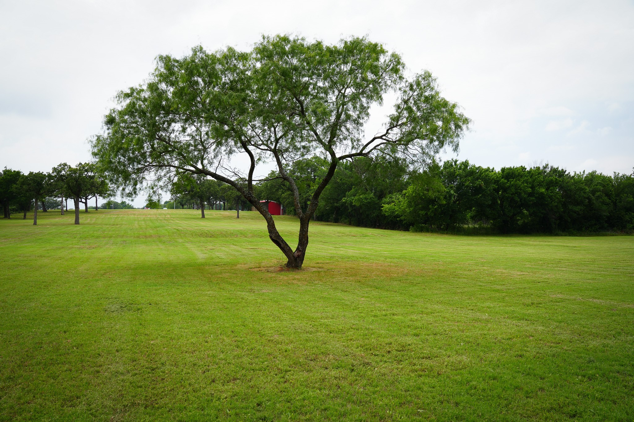 1555 S Burleson Boulevard Burleson TX 76028
