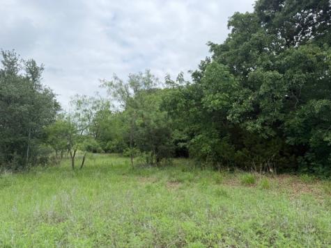 24170 Stonewood Drive Whitney TX 76692