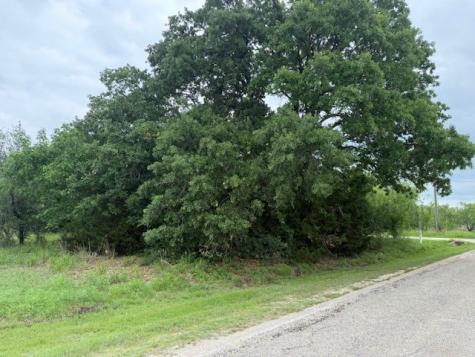 24170 Stonewood Drive Whitney TX 76692