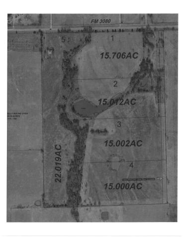 Tract 4 Fm 3080 Mabank TX 75147