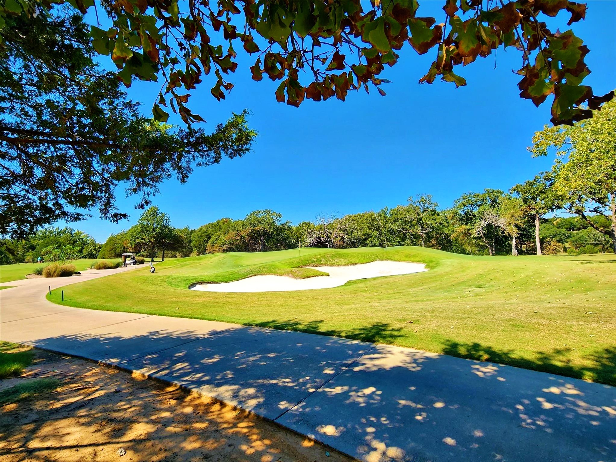 Lot 38 A Valhalla Court Gordonville TX 76245