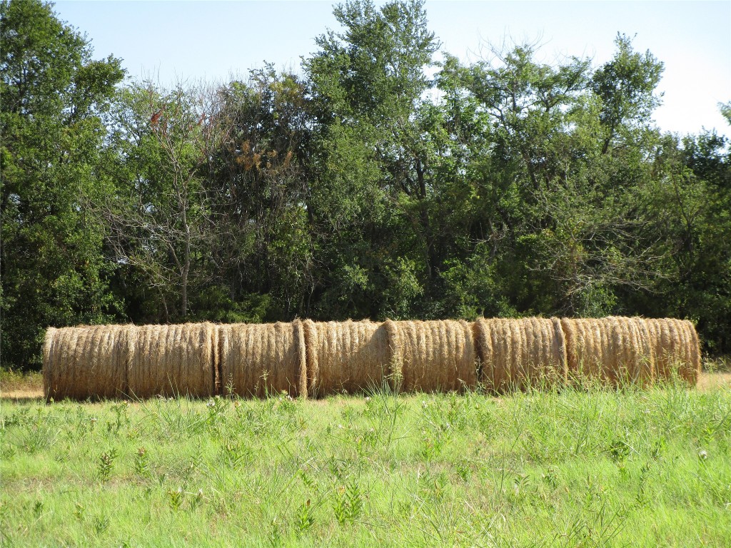 Tbd County Road 1082 Celeste TX 75423