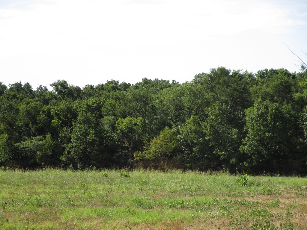 Tbd County Road 1082 Celeste TX 75423