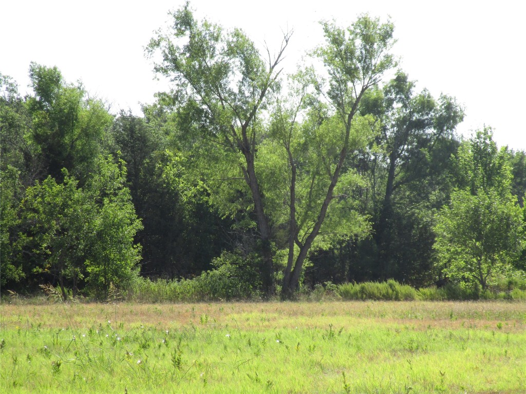 Tbd County Road 1082 Celeste TX 75423
