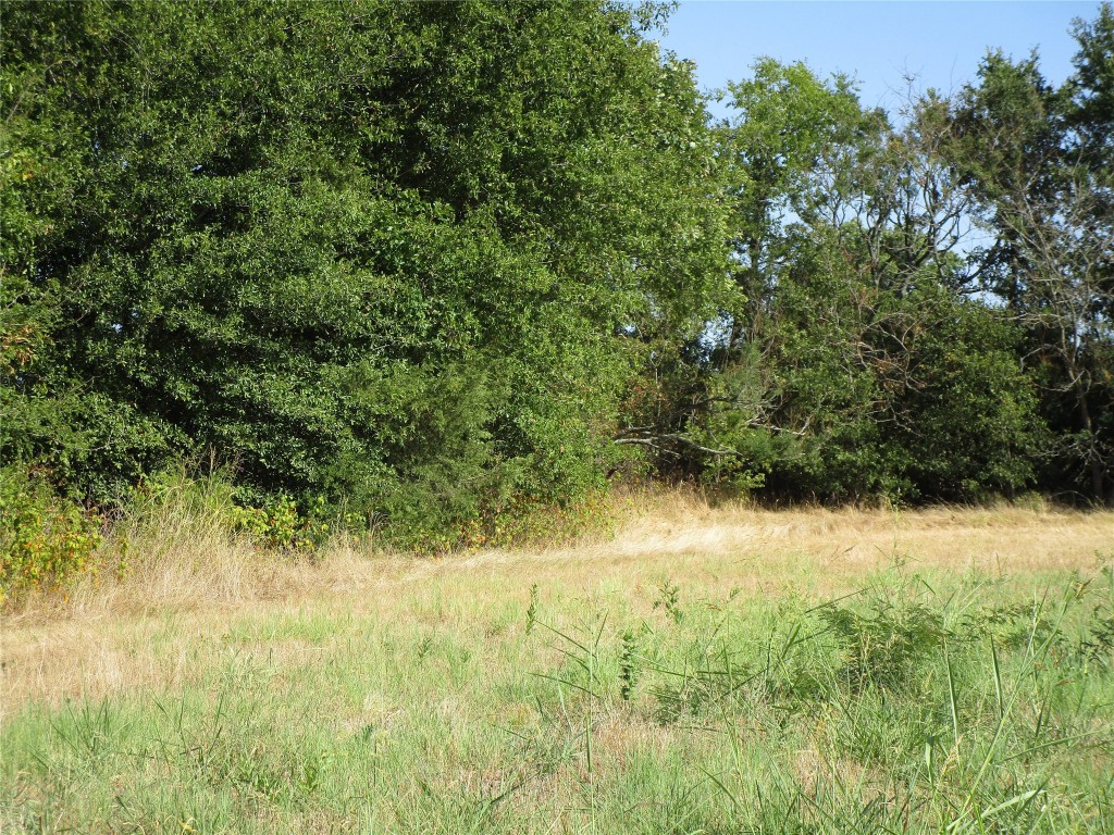 Tbd County Road 1082 Celeste TX 75423