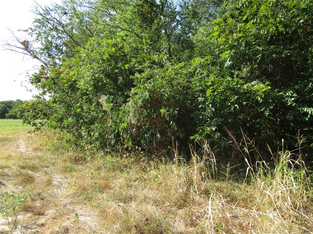 Tbd County Road 1082 Celeste TX 75423