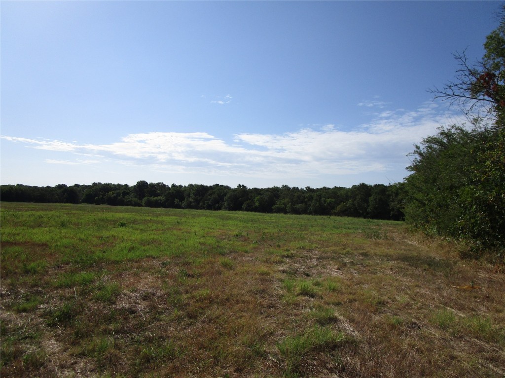 Tbd County Road 1082 Celeste TX 75423
