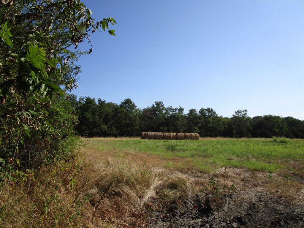 Tbd County Road 1082 Celeste TX 75423
