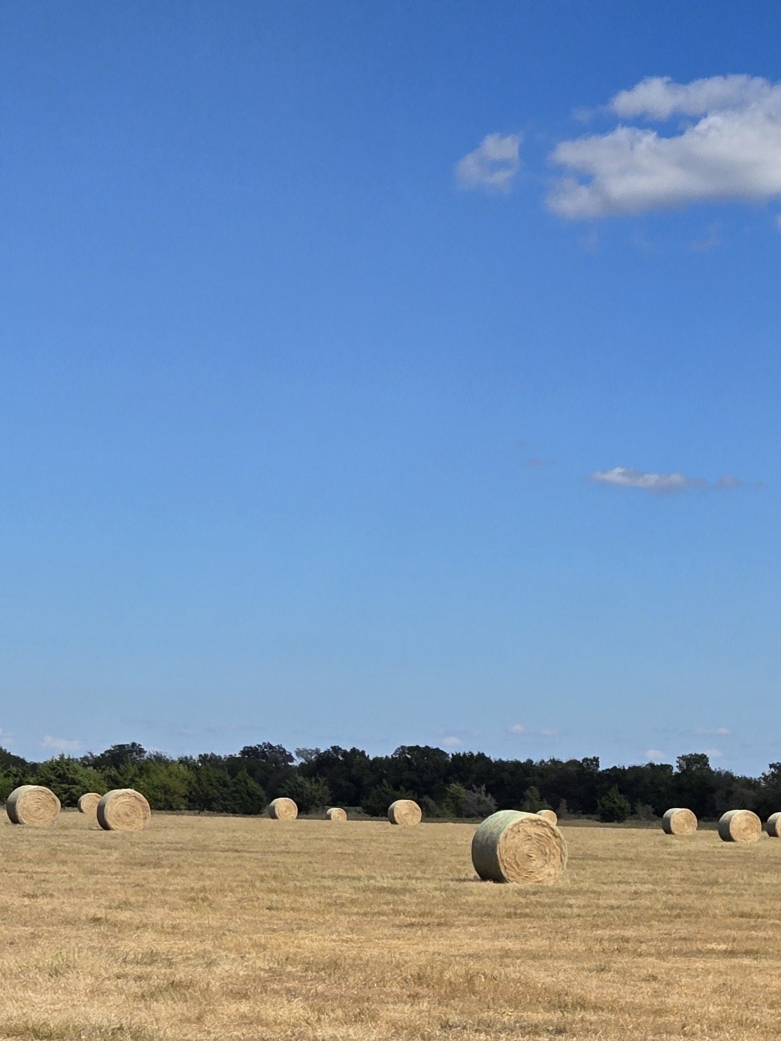 Tbd Fm 3486 Terrell TX 75160