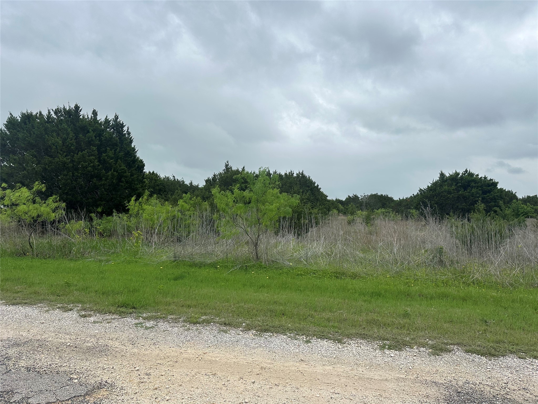 36068 Cedar Ridge Drive Whitney TX 76692