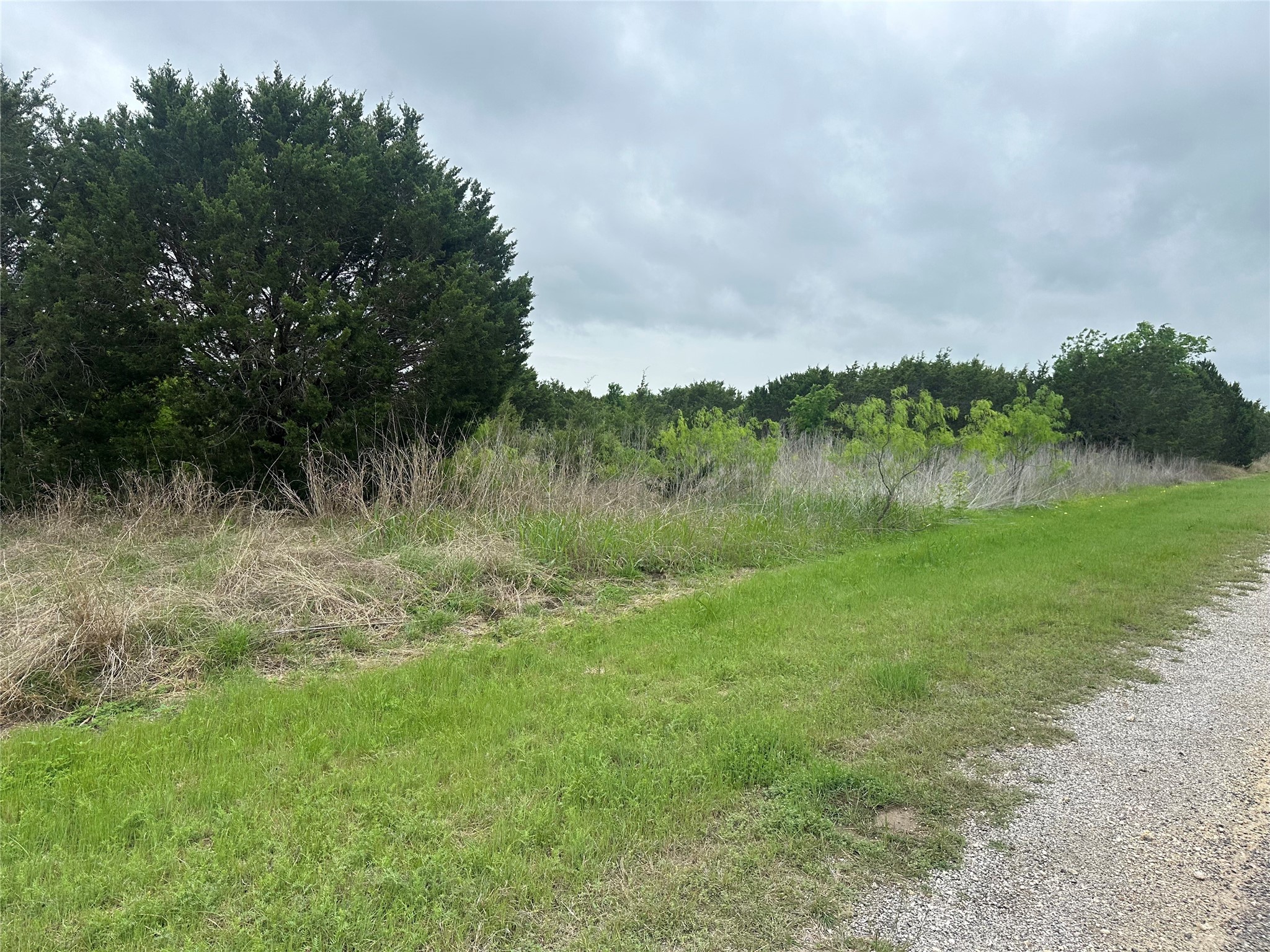 36068 Cedar Ridge Drive Whitney TX 76692