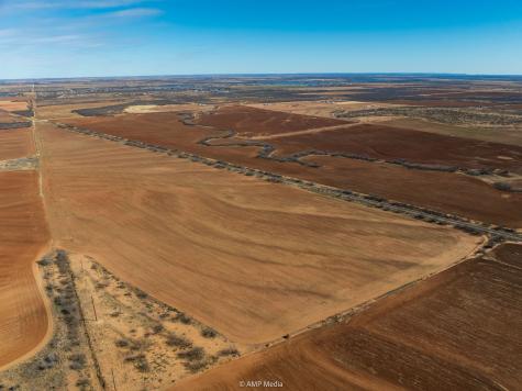 Tbd County Road 260 Colorado City TX 79512