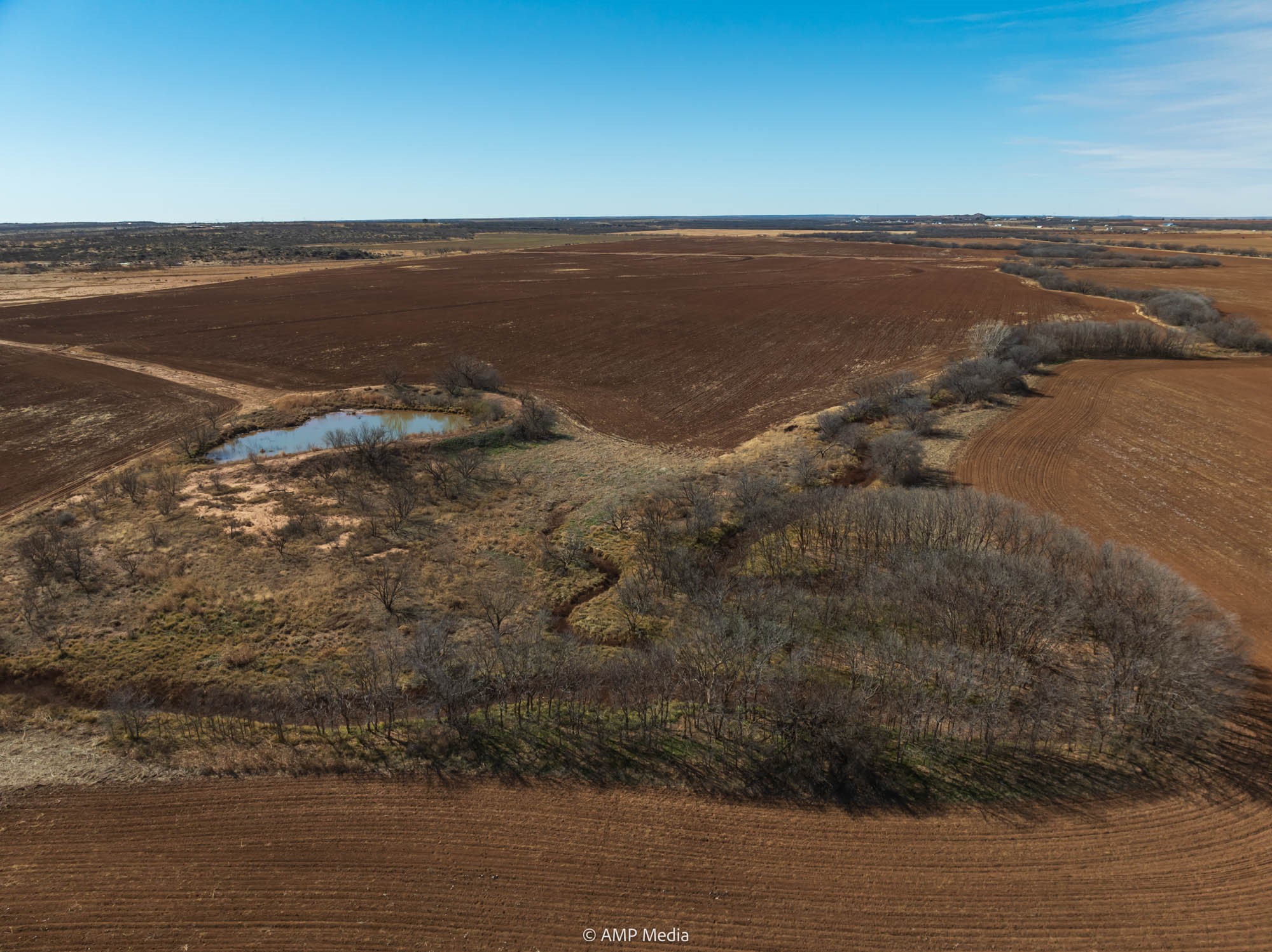 Tbd County Road 260 Colorado City TX 79512