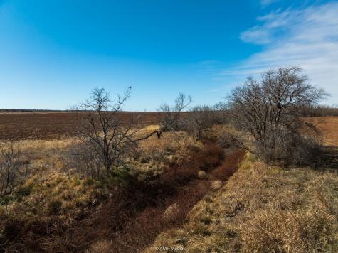 Tbd County Road 260 Colorado City TX 79512