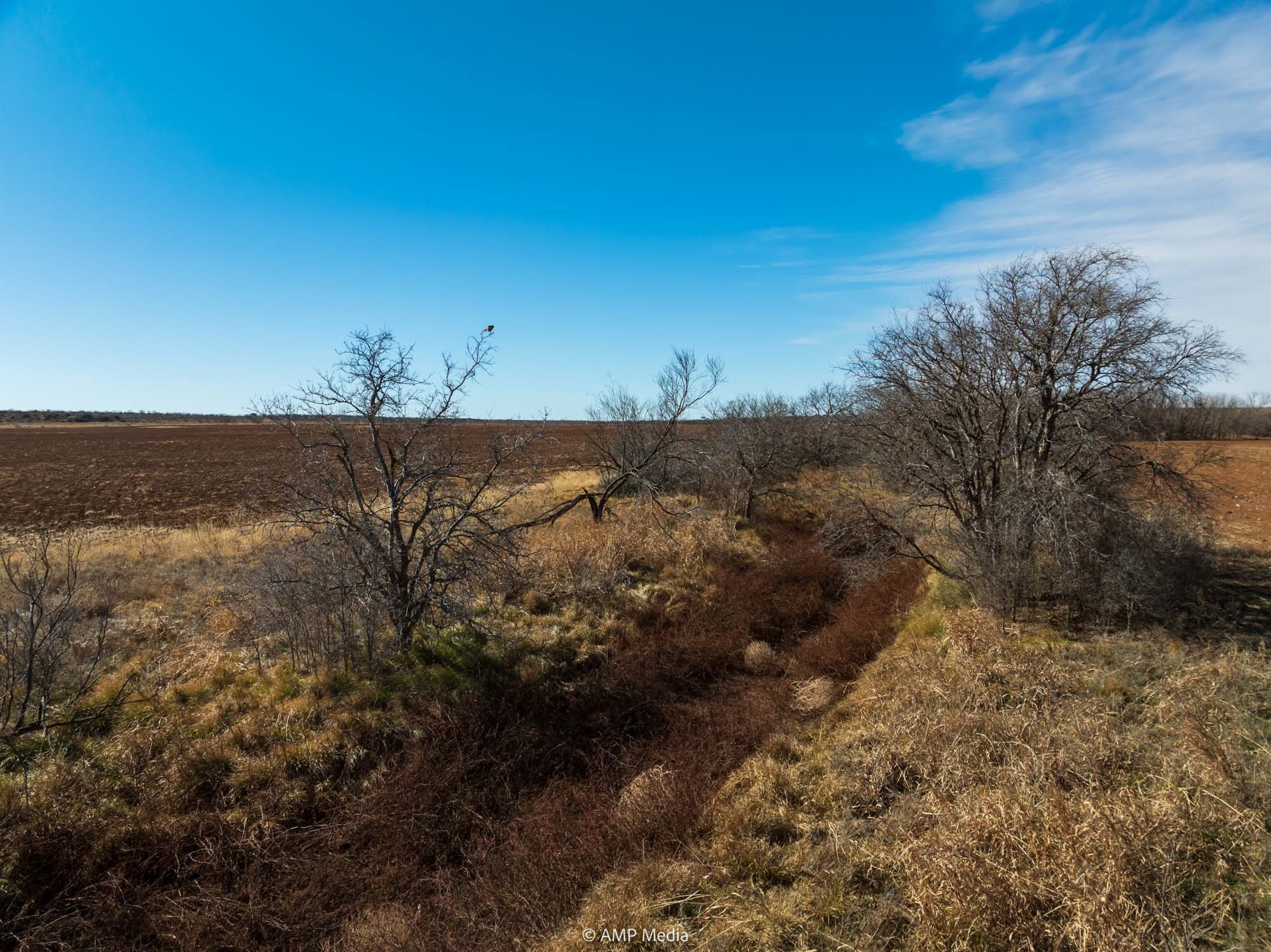 Tbd County Road 260 Colorado City TX 79512