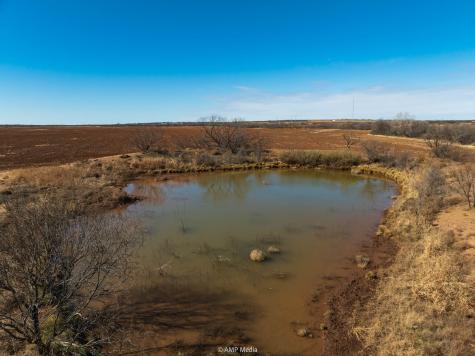 Tbd County Road 260 Colorado City TX 79512