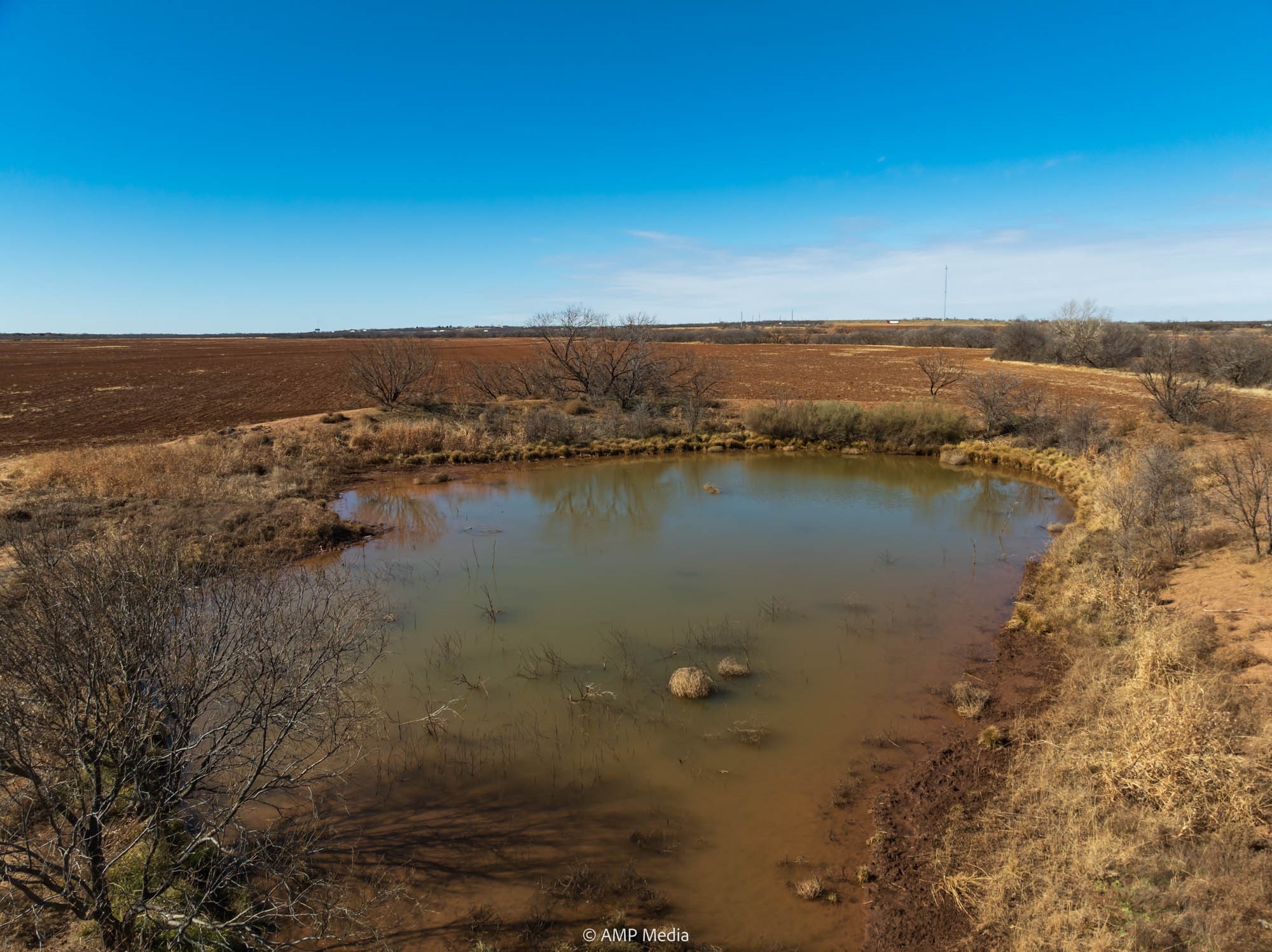 Tbd County Road 260 Colorado City TX 79512