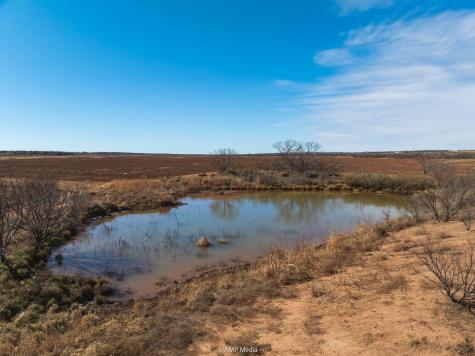 Tbd County Road 260 Colorado City TX 79512