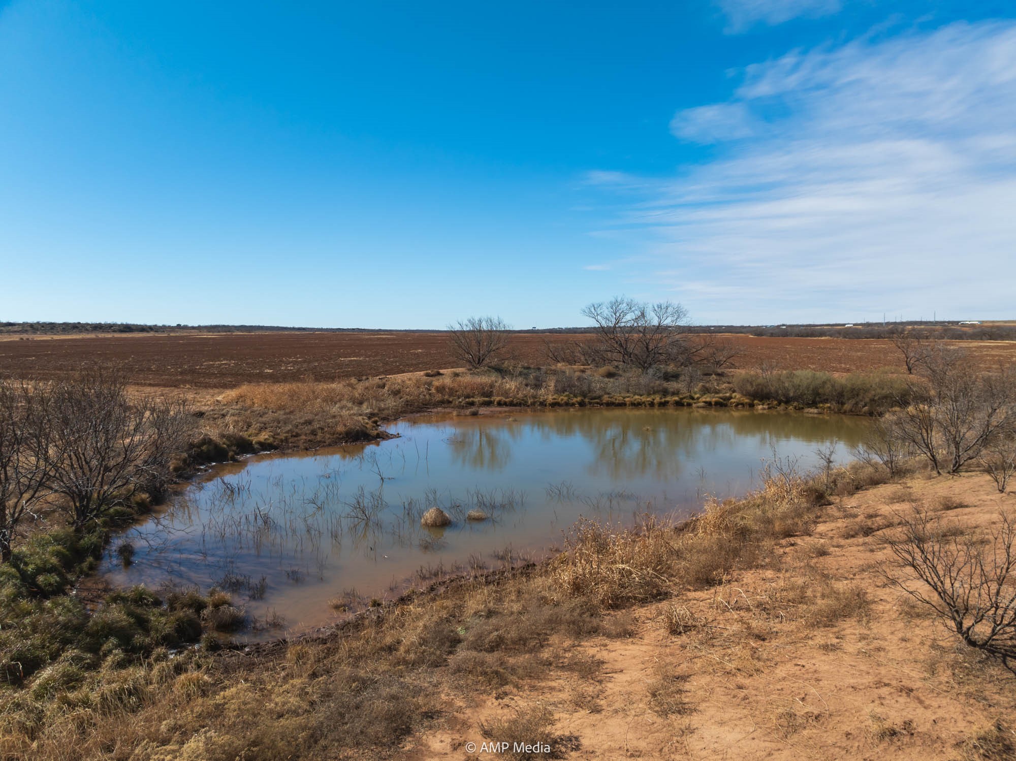 Tbd County Road 260 Colorado City TX 79512