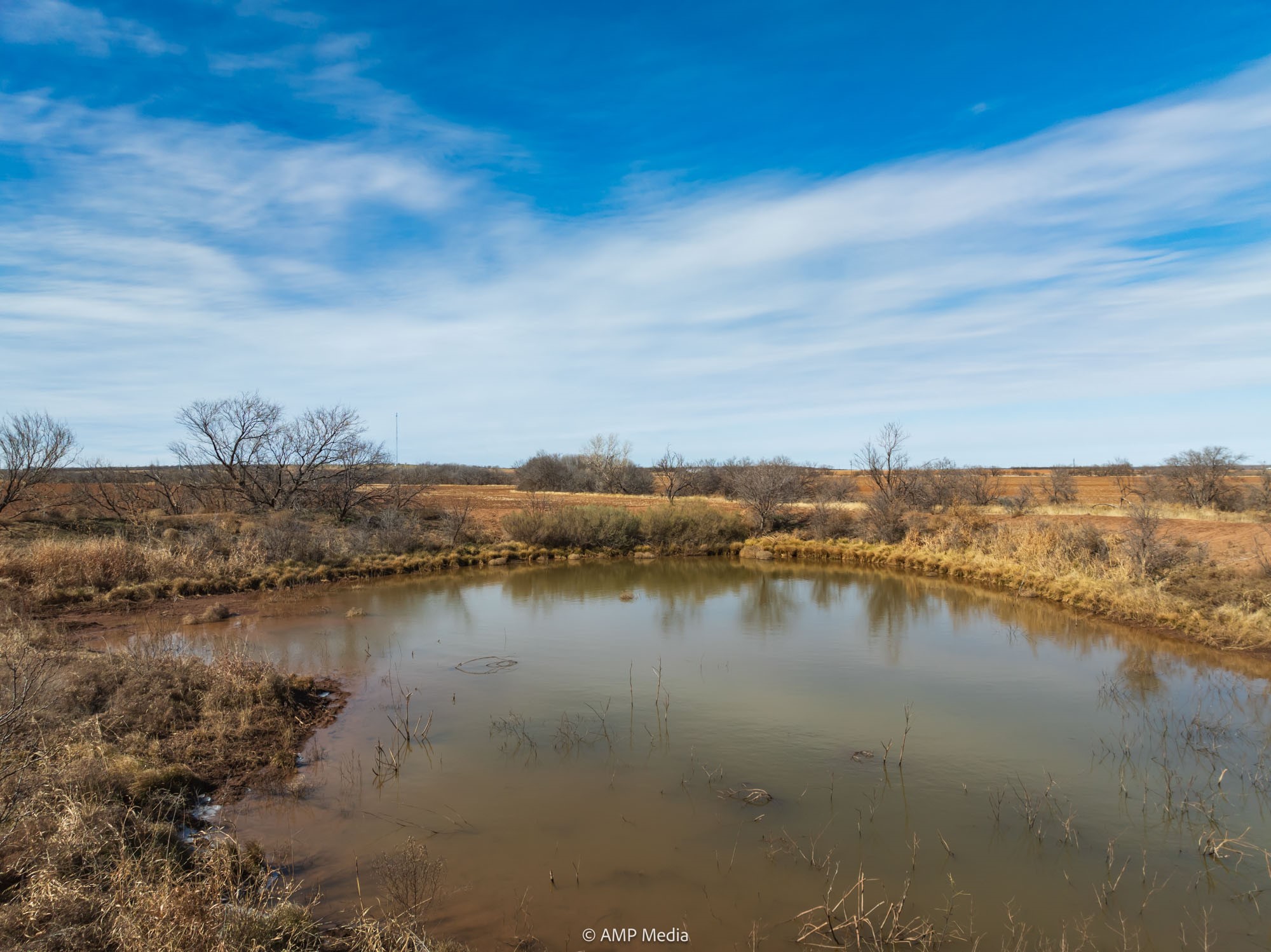 Tbd County Road 260 Colorado City TX 79512