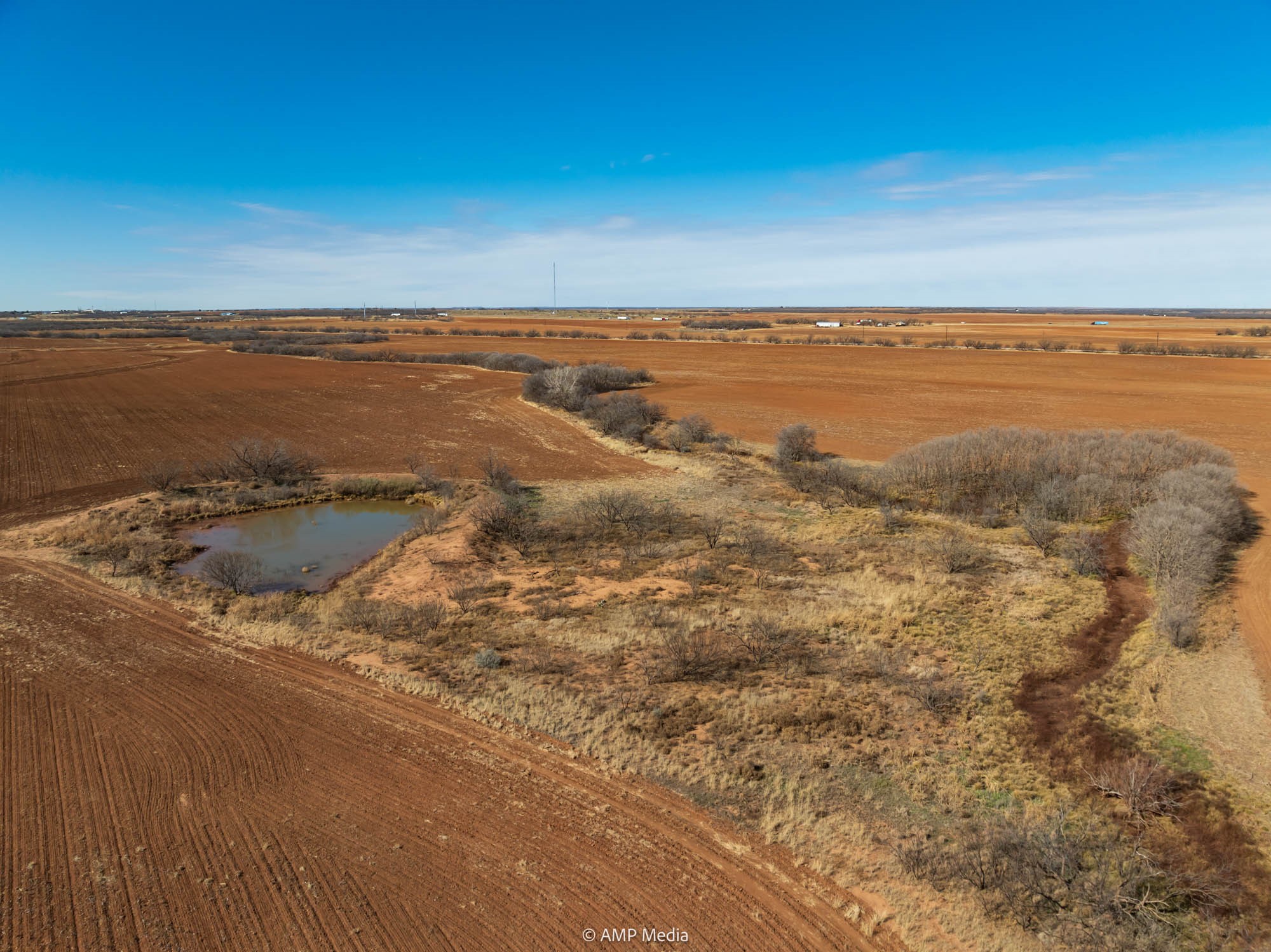 Tbd County Road 260 Colorado City TX 79512