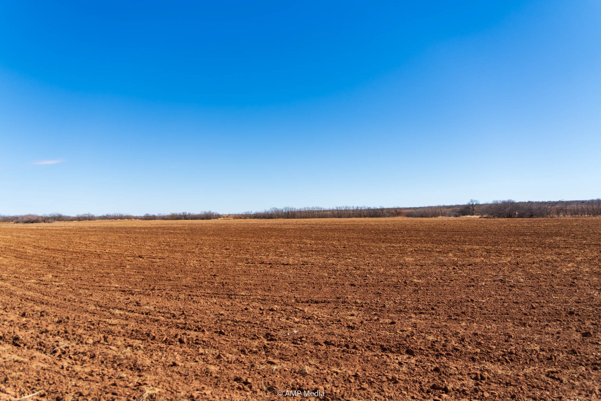 Tbd County Road 260 Colorado City TX 79512