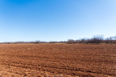 Tbd County Road 260 Colorado City TX 79512