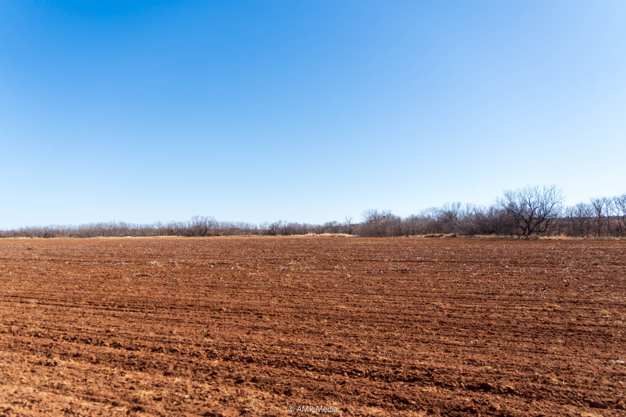 Tbd County Road 260 Colorado City TX 79512