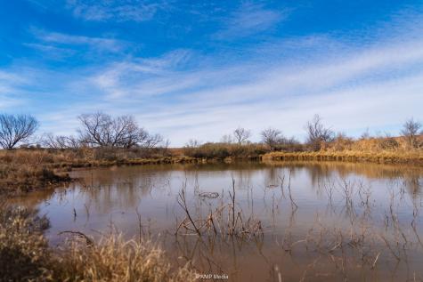 Tbd County Road 260 Colorado City TX 79512