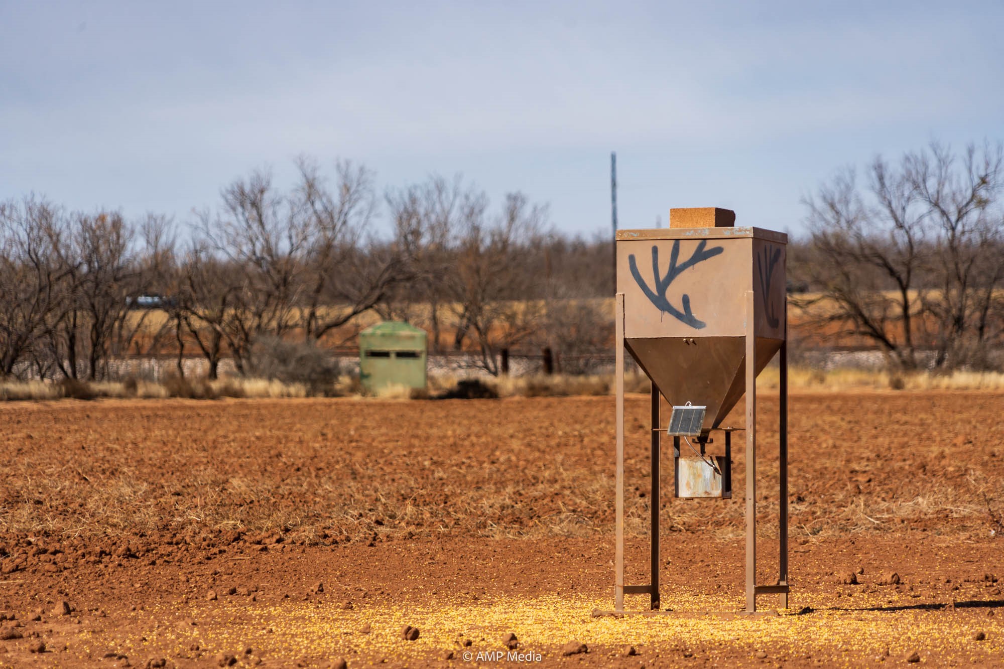 Tbd County Road 260 Colorado City TX 79512