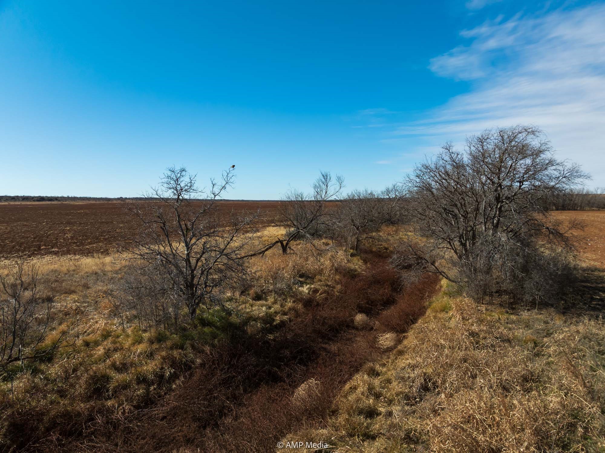 Tbd County Road 260 Colorado City TX 79512
