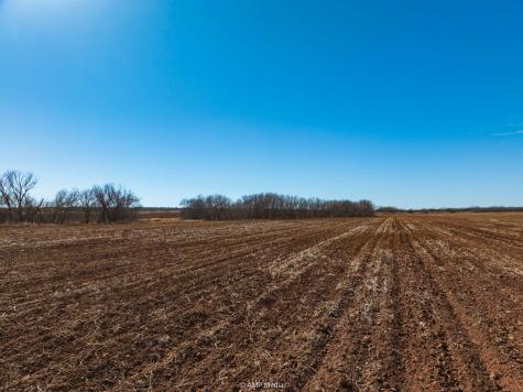 Tbd County Road 260 Colorado City TX 79512