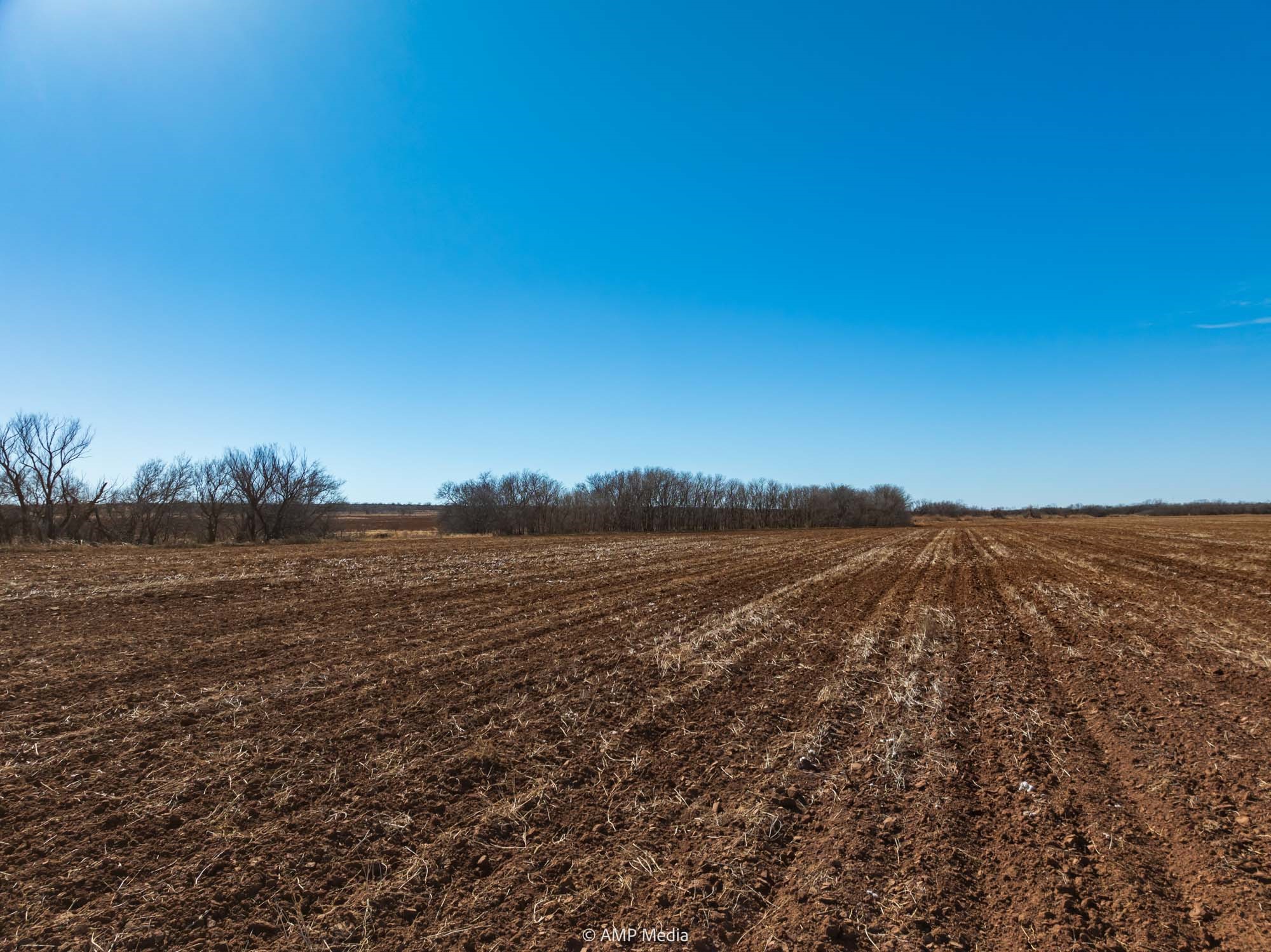 Tbd County Road 260 Colorado City TX 79512