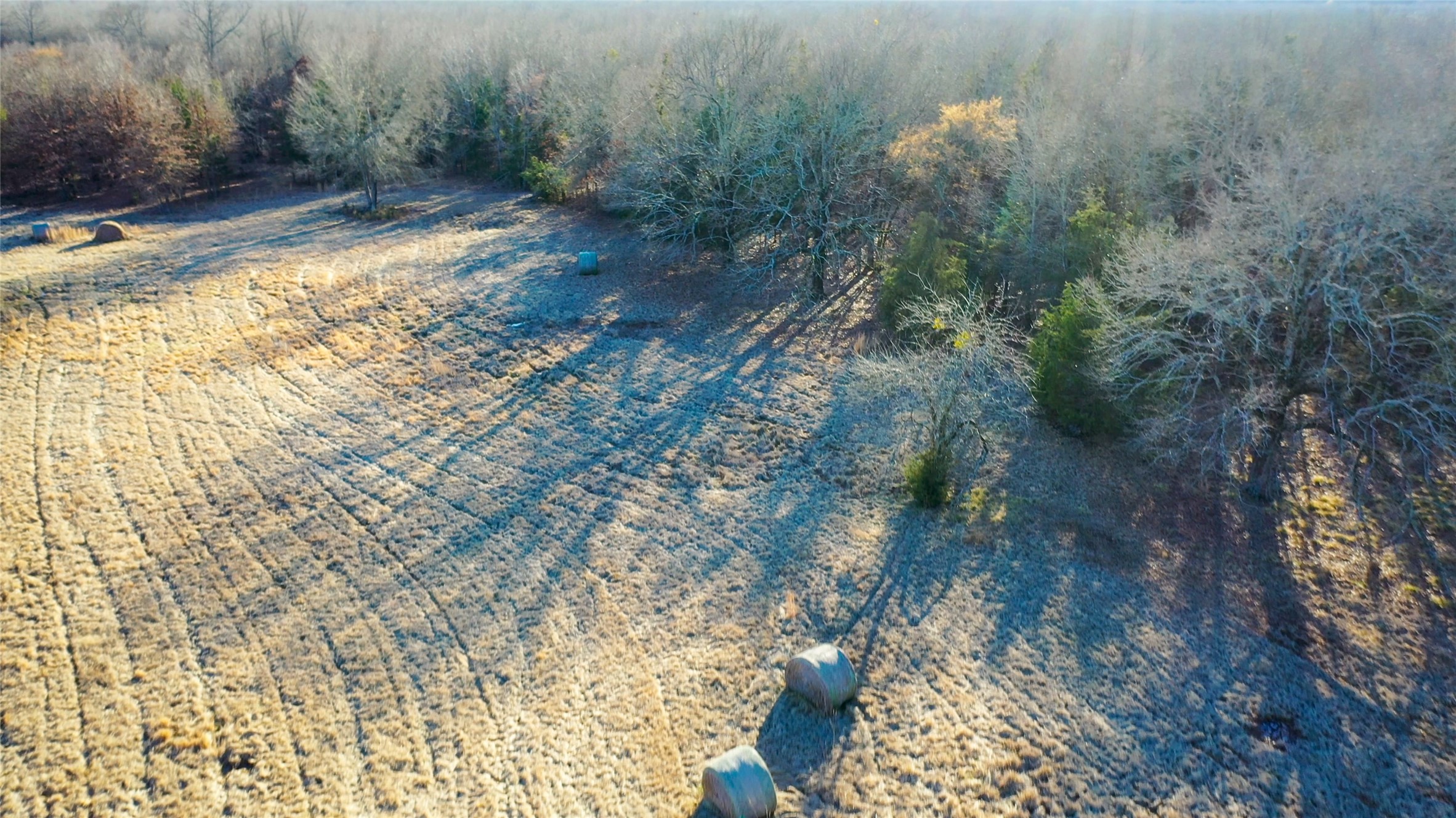 1200 County Road 1255 Detroit TX 75436