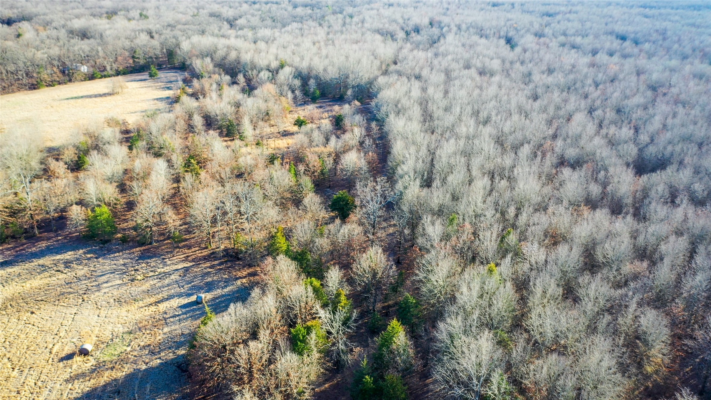 1200 County Road 1255 Detroit TX 75436