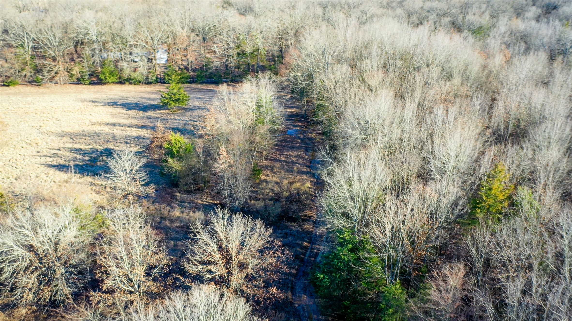 1200 County Road 1255 Detroit TX 75436